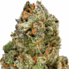 Permanent-Marker-Strain-Macro-680x680.png Permanent Marker THCA Flower