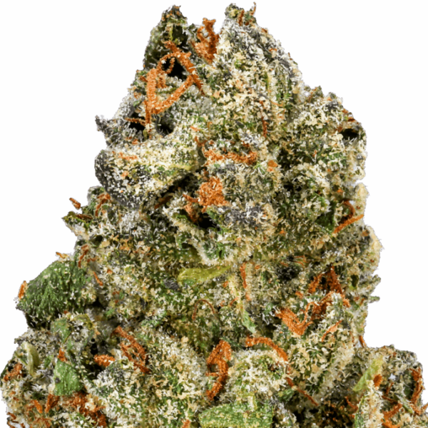 Permanent-Marker-Strain-Macro-680x680.png Permanent Marker THCA Flower