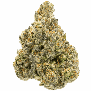 Pineapple-Express-thca-flower-min-1-539x502 Pineapple Express THCA Flower
