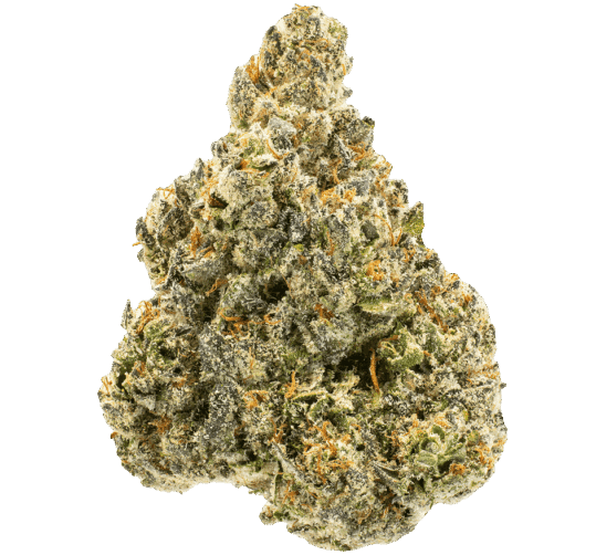 Pineapple Express THCA Flower