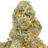 Rum-Cake-Strain-macro-680x680.png Rum Cake THCA Flower