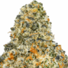 Space-Pop-Strain-macro-680x680.png Space Pop THCA Flower