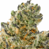 Tangie-Strain-Macro-680x680.png Tangie THCA Flower
