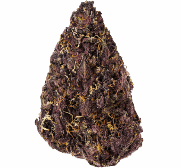 Trop-Cookies-Strain-1-680x634.png Tropical Cookies THCA Flower