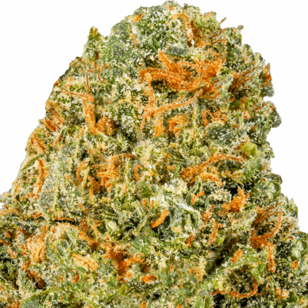 Venom-Kush-Strain-Macro-680x680.png Venom Kush THCA Flower