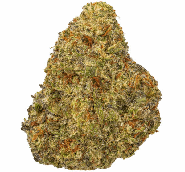 White-Chocolate-Chip-Strain-680x634.png White Chocolate Chip THCA Flower