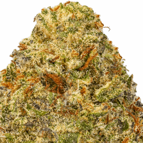 White-Chocolate-Chip-Strain-macro-680x680.png White Chocolate Chip THCA Flower