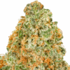 Yellow-Zushi-Strain-Macro-1-680x680.png Yellow Zushi THCA Flower