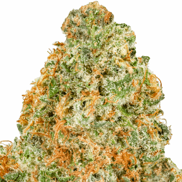Yellow-Zushi-Strain-Macro-1-680x680.png Yellow Zushi THCA Flower