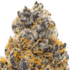 trop-cherry-strain-macro-min-1 Trop Cherry THCA Flower