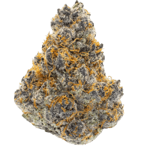trop-cherry-thca-flower-min-1 Trop Cherry THCA Flower