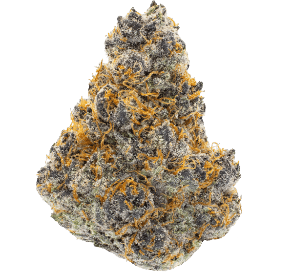 trop-cherry-thca-flower-min-1 Trop Cherry THCA Flower